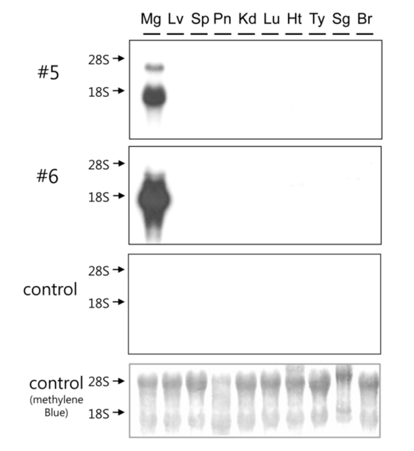 dr-17-1-1-g003