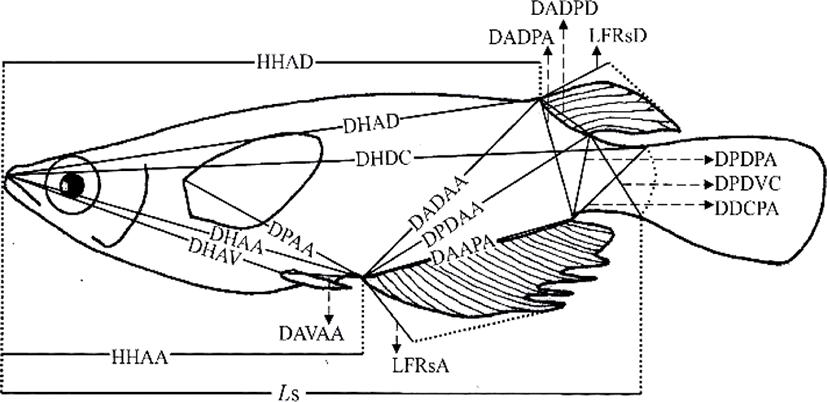 dr-22-2-183-g1