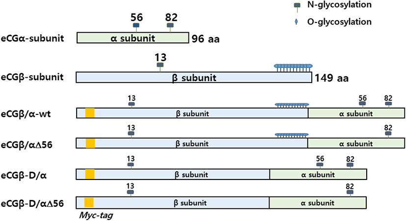 dr-25-4-199-g1