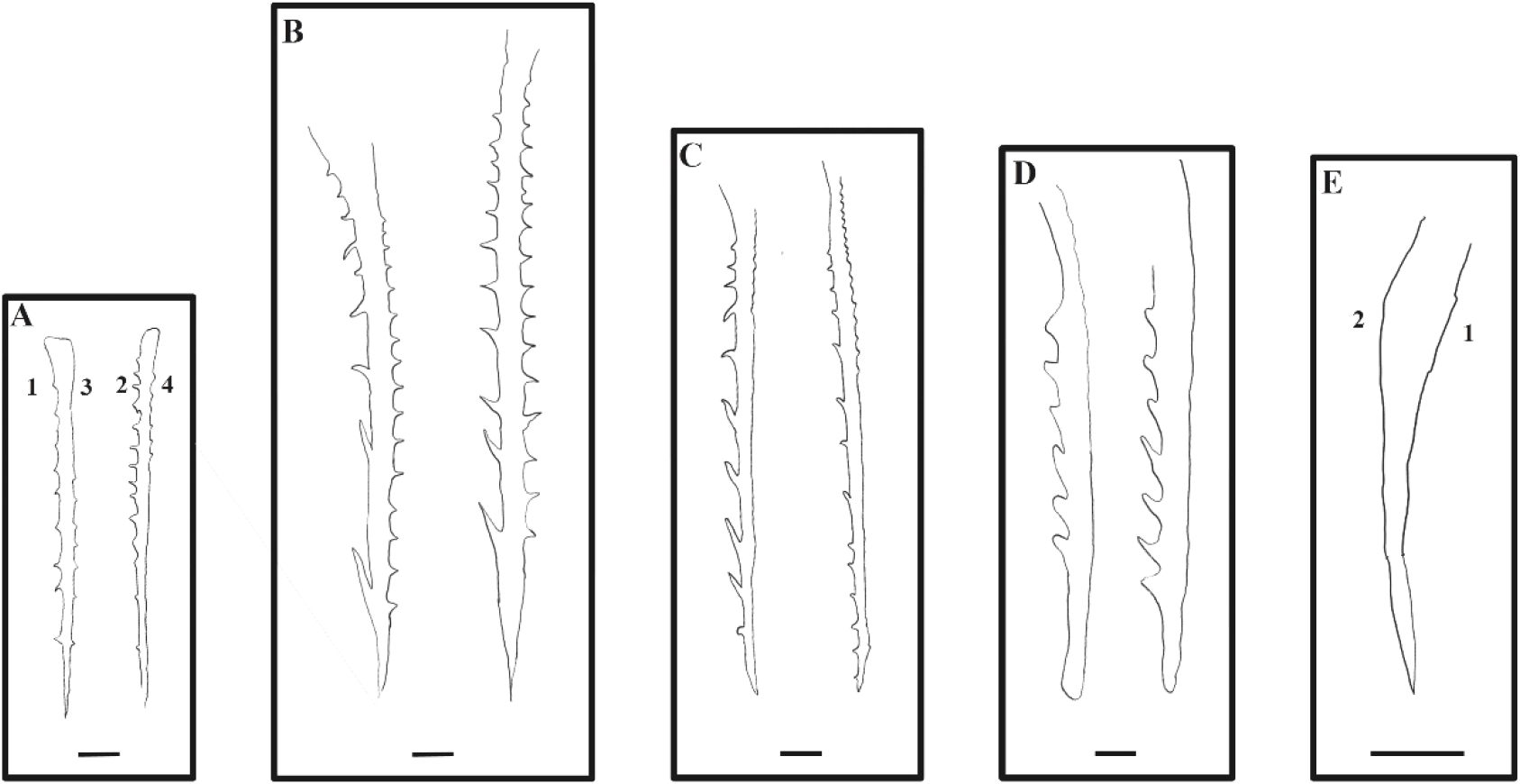 dr-28-3-95-g7