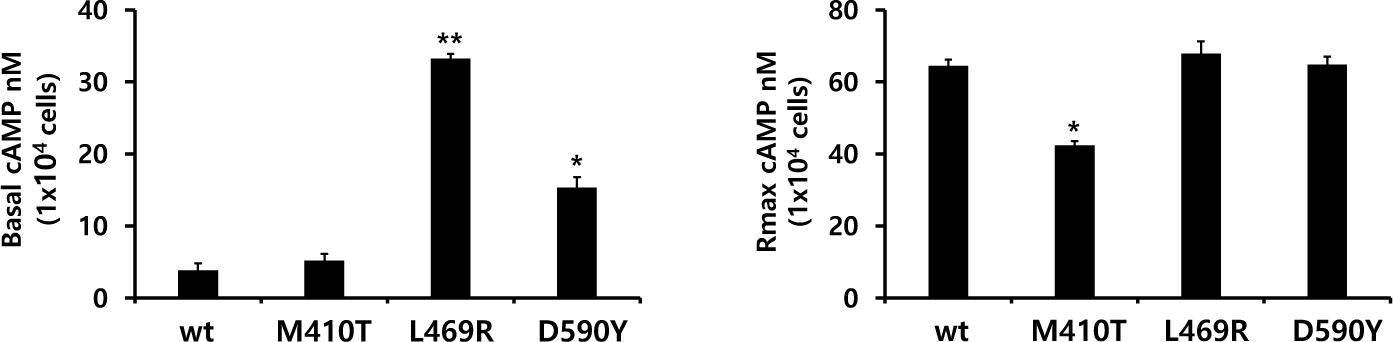 dr-28-4-141-g3